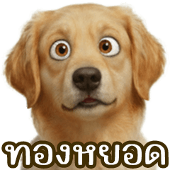 Thongyod the curious one, Part 2