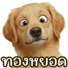 Thongyod the curious one, Part 3