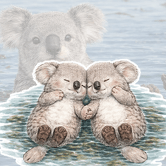 ぎゅっとラッコアラ