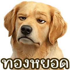 Thongyod the curious one, Part 4