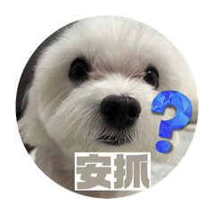 柚子的耍廢人生