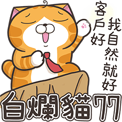 白爛貓77☆王牌業務☆