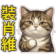 白爛貓球♥幹話模式