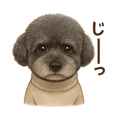 Office MAIGODOG_20260115182602