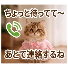 うちの猫から連絡スタンプ