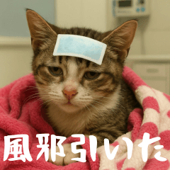 小花達病気中（日本語）