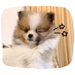 Leon Daily Life Sticker