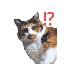 MONDO_20260116020358