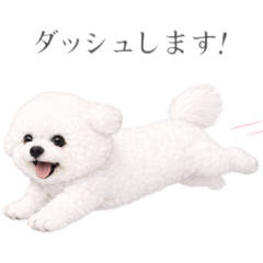 soraluca_20260115161230