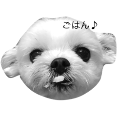 kumimi_20260115161302