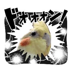 @ahhhhhcannel2024_20260115161725