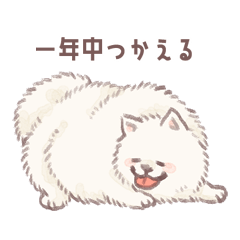 一年中使えるもふもふサモエドさん
