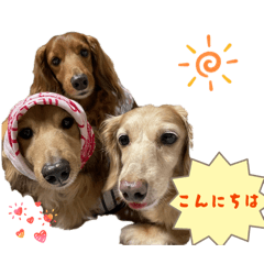eruna_20260115164246