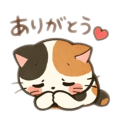 ミケニャンの毎日