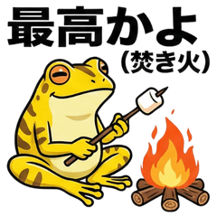 A Hobby-Obsessed Frog Daily Life