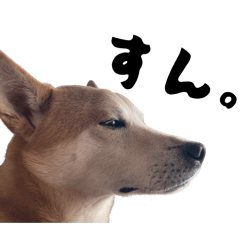 mizuki_20260115233616