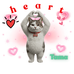 たま猫スタンプ「やったー！」リアクション