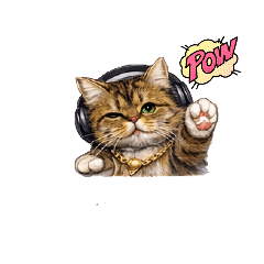 Kazumi_20260115190203