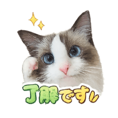 soy milk_20260115195726