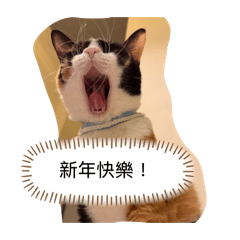 新年快樂土