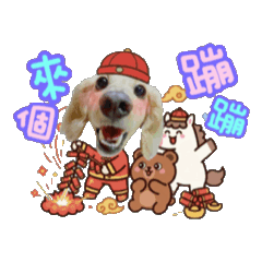 臘腸狗豆豆69♡2026馬年新年快樂動起來♡