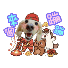 臘腸狗豆豆69♡2026馬年新年快樂動起來♡