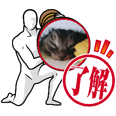 sumomo_20260115212943