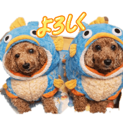 Lecchii_20260115183001