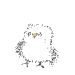 YURUKU_20260116084527