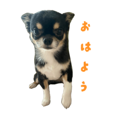 JUNJUN_20260116002109