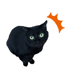 yusaku_20260116115903