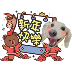 臘腸狗豆豆67♡2026馬年新年快樂♡