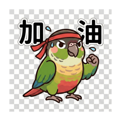 鸚鵡鳥兒的日常