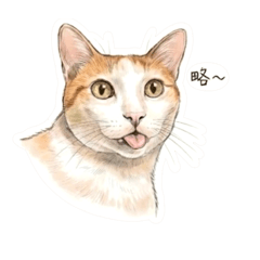 MiuMiu & HaHa Part 1