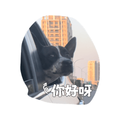 頭上有顆驚嘆號‼️-2