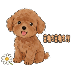 大家好，我是泰迪哆哆