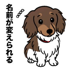 名前入りダックスチョコタンパイボールド