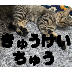 HARUNA_20260116122158