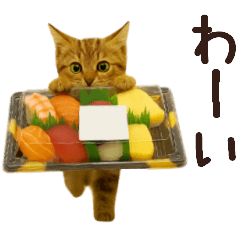 sushicatmoveSticker