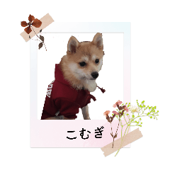 enari_20260115223543