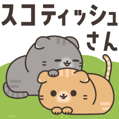 スコティッシュさんの飛び出すほんわか言葉