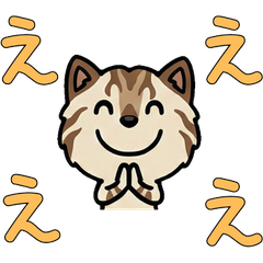 Anim. Polite Sokoke 6th