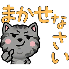 Anim. Polite Smoke Cat 6th