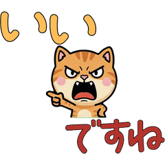 Anim. Polite Cameo Tabby 6th