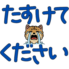 Anim. Polite Serengeti 6th