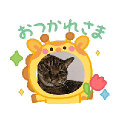 akko._20260116135109