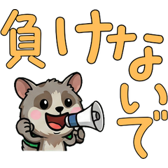 Anim. Polite Galago 6th