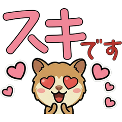 Anim. Polite Cuscus 6th