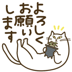 万年青と猫だらけ
