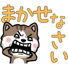 Anim. Polite Ojos Azules 6th